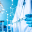 Express-Decision-Making-Biotecnologia
